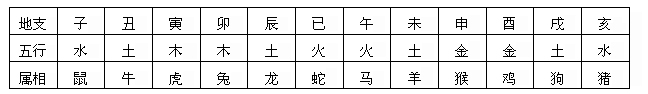dz.jpg
