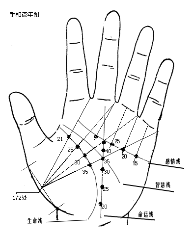 女性手相线纹