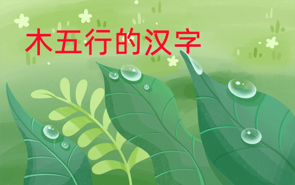 木五行的字-起名笔画五行字库