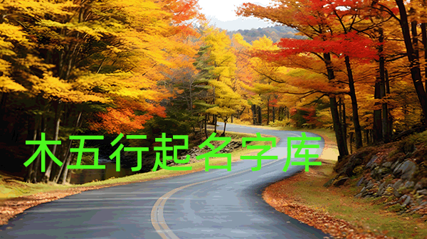 muqimingziku.gif