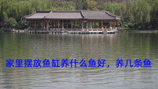 IMGP0720.jpg